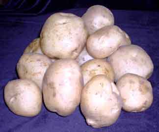 Tubers