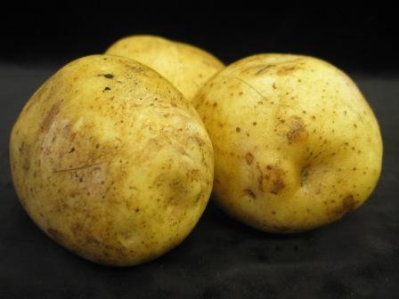 tubers